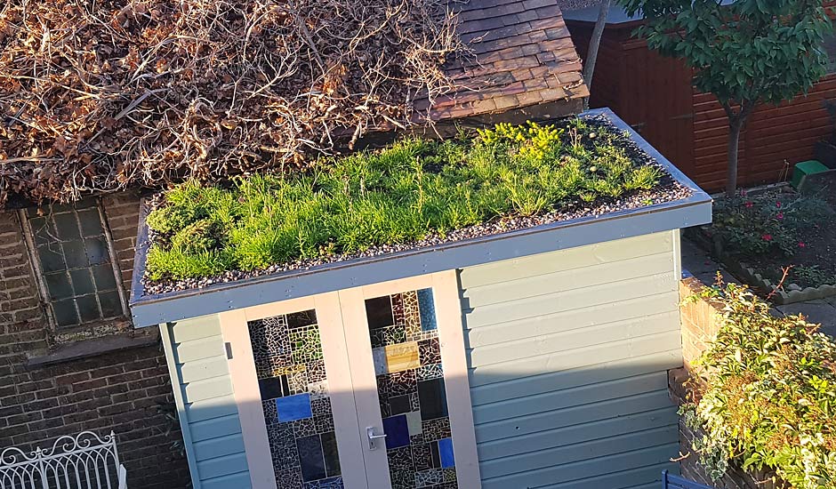 A small garden shed with a green roof covered in grasses and plants is shown. The shed has light blue wooden paneling and features stained glass doors. Behind this charming garden room, there is a brick building with a roof covered in dried leaves and branches. - a room in the garden