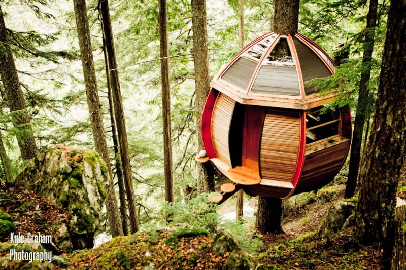 A spherical treehouse with wooden panels and a geometric roof is suspended among tall trees in a forest. It has an open doorway and circular steps leading up to it. Moss-covered rocks and dense foliage add natural charm to this architectural marvel, beautifully photographed by Kyle Graham. - a room in the garden