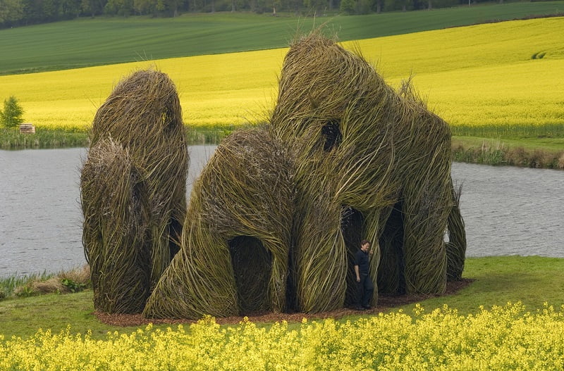 A person stands beside a large, artistic structure made of intertwined, curved branches. This unique piece of architecture resembles a series of arches or towers and is set beside a lake, surrounded by bright yellow flowers and fields. - a room in the garden