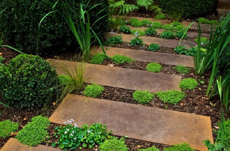 A garden path lined with large, rectangular stone slabs surrounded by patches of green plants and bushes. The stones are set in a staggered pattern, creating a natural and serene walkway amidst the lush foliage, serving as one of the best path ideas for any tranquil outdoor space. - a room in the garden