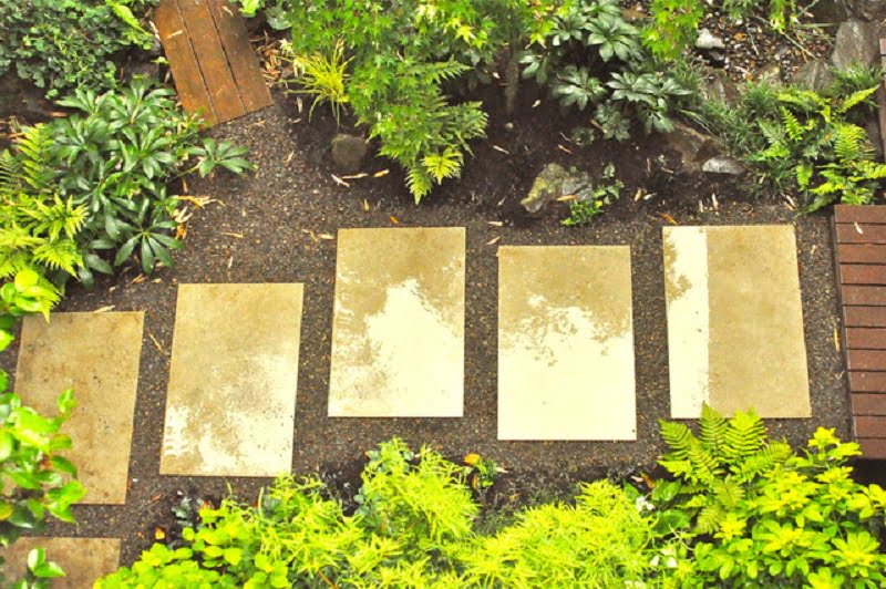 A garden pathway, perfect for path ideas, features five rectangular stone slabs set in dark gravel, surrounded by lush green plants and ferns. The stones appear wet, reflecting the light, suggesting recent rain. Dense foliage adds vibrant greenery that frames the pathway. - a room in the garden