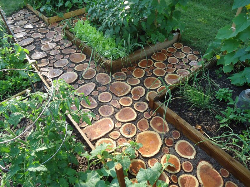 A garden with wooden log slices used as stepping stones forms pathways between raised vegetable beds, which are thriving with various greens and plants. The logs of varying sizes create a rustic and natural look, offering unique path ideas that complement the lush greenery surrounding them. - a room in the garden