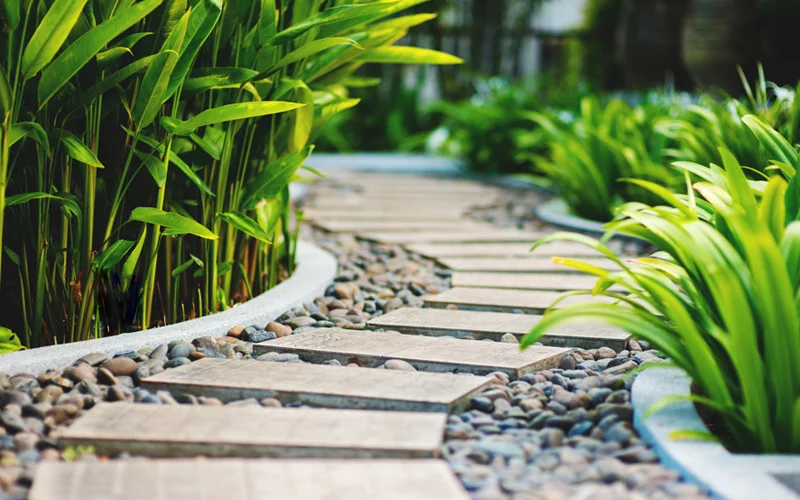 A serene garden path made of rectangular stone slabs is bordered by smooth, round pebbles. Lush green plants and leaves flank both sides of the winding walkway, creating a tranquil and inviting atmosphere—an ideal example for those seeking path ideas. - a room in the garden