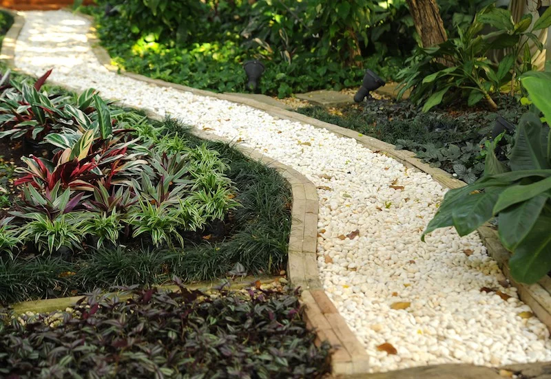 A narrow garden pathway composed of white pebbles curves through lush greenery, providing enchanting path ideas. Alongside, various plants with colorful leaves and textures add vibrant contrast. Small spotlights are positioned to illuminate the path, enhancing the garden's beauty. - a room in the garden