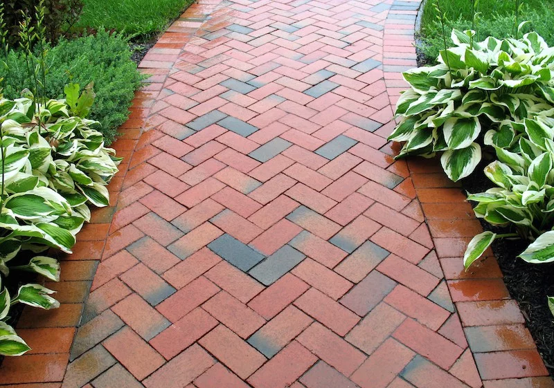 A brick walkway with a herringbone pattern is bordered by lush green plants with white-edged leaves on both sides. The bricks are in shades of red and light brown, offering stylish path ideas. The area around the walkway is covered in vibrant green grass. - a room in the garden