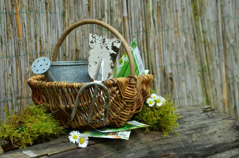 A wicker basket filled with gardening tools, including a metal watering can and a small spade, sits on a wooden surface surrounded by greenery and white flowers. Seed packets are partially visible in the basket. The background features a bamboo fence, creating the perfect setup to connect water to my garden room. - a room in the garden