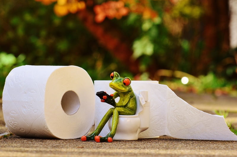 A whimsical figure of a green frog, with red eyes, sitting on a miniature toilet, holding a smartphone. In the background, there is a roll of toilet paper partially unrolled. The setting appears to be outdoors with blurred greenery, as if it's pondering how to connect water to my garden room. - a room in the garden