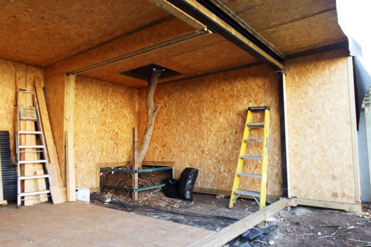 An unfinished wooden building, designed for insulated garden rooms, features a tree trunk protruding through the roof and floor. Two ladders, one yellow and one silver, lean against opposite walls. Construction debris is scattered on the floor. - a room in the garden