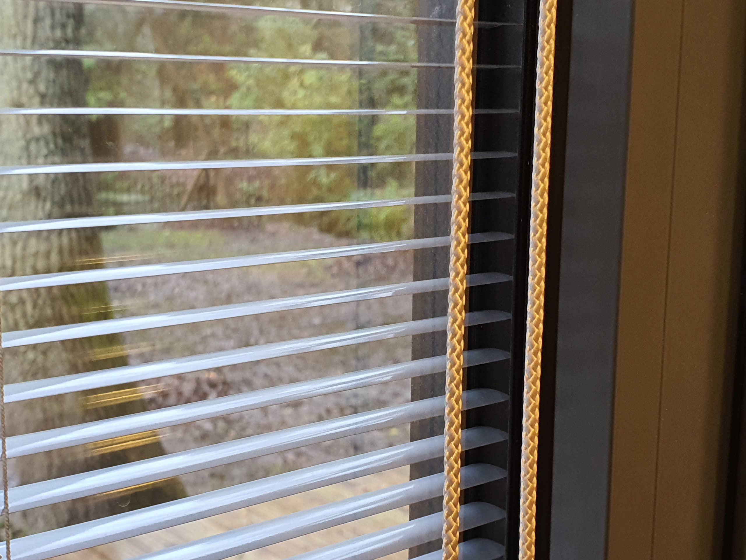 Close-up of a window with integrated blinds partially opened, the pull cord hanging beside them. Outside, there is a view of a wooded area with trees and greenery. - a room in the garden