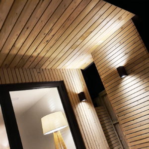 External lights and wood cladding for unique summerhouse garden room