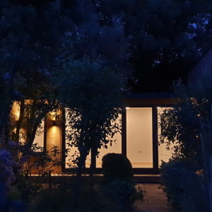 A well-lit gallery is visible through dense foliage at night. The interior lights illuminate the large windows, contrasting with the dark, leafy surroundings. The structure appears modern and inviting, set against a backdrop of tall trees. - a room in the garden