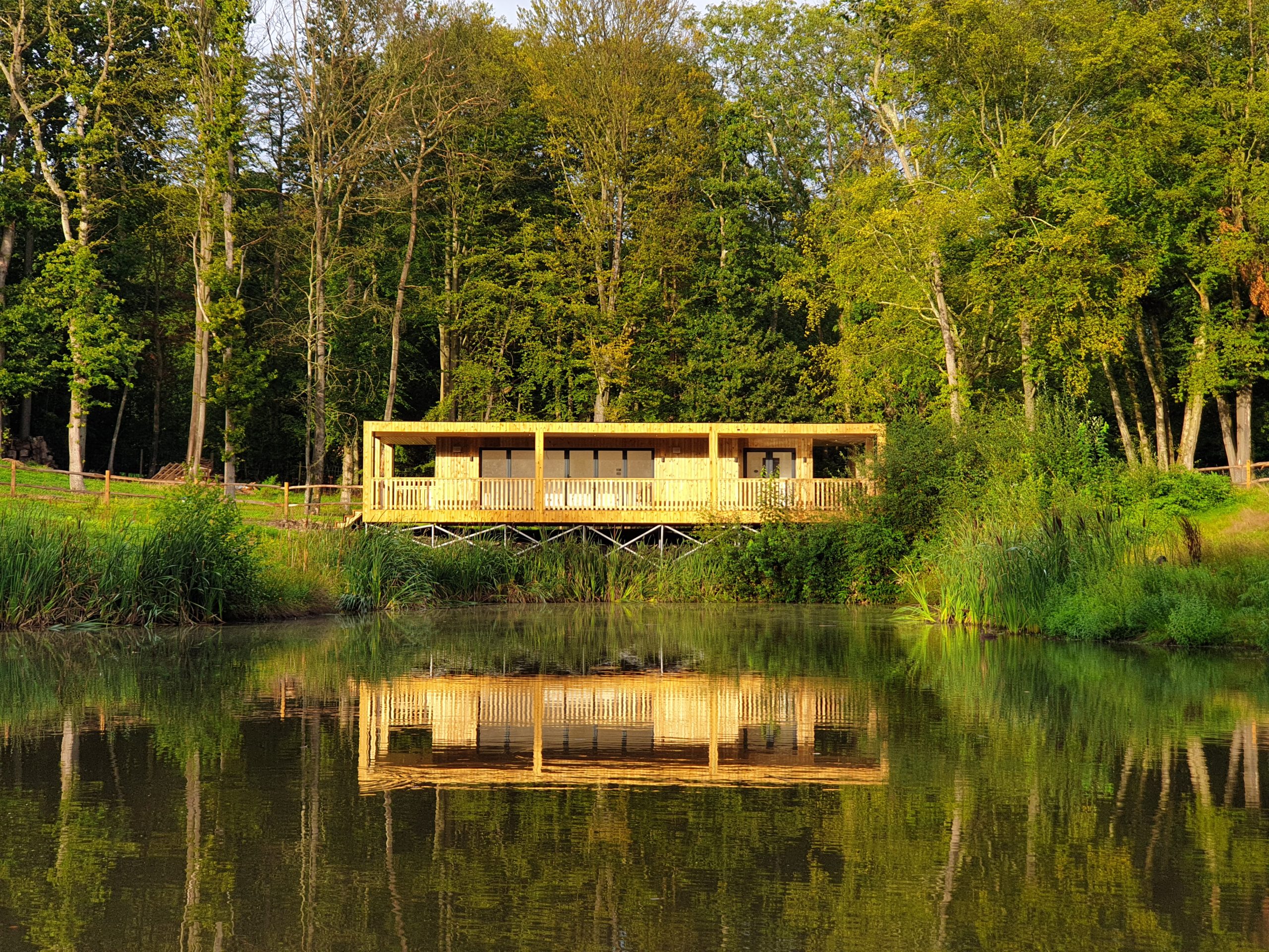 Bespoke garden room by pond