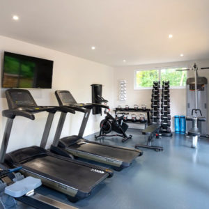 Treadmills and additional features for garden gym