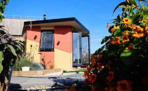 small bespoke garden studio