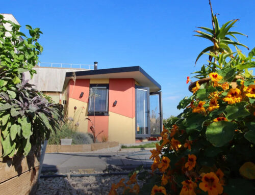 How to Make a Garden Room Airbnb That Guests Will Love